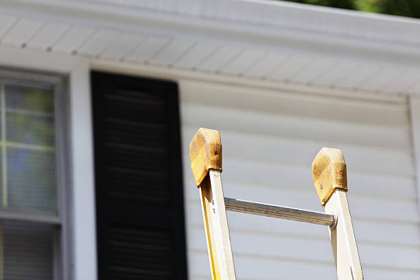 Best Hoarding Cleanup  in Welsh, LA